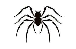 A Spider vector black silhouette isolated on a white background