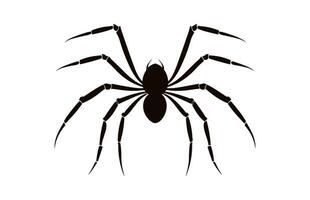 A Spider vector black silhouette isolated on a white background