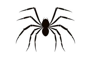 A Spider vector black silhouette isolated on a white background