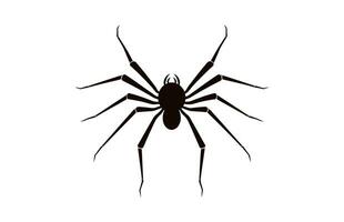 un araña vector negro silueta aislado en un blanco antecedentes