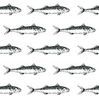 Black Fish Herring Seamless Pattern. Mackerels, Scomber vector