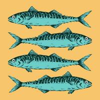 Hand Drawn Illustration a Group of mackerels, Scomber, on yellow background vector