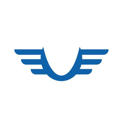 Abstract wings logo design template