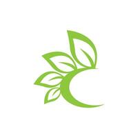 Tree leaf vector logo design, eco friendly concept