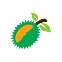 Durian logo icono, vector ilustración diseño