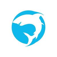 Shark logo icon,design vector illustration