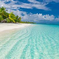 Beautiful tropical beach sea coast. White sand, palm trees, turquoise ocean and blue sky on sunny summer day. Serene landscape background for relaxing vacation. Maldives islands exotic travel paradise photo