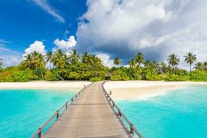 Summer vacation on a tropical island hotel resort with beautiful beach and palm trees, pier jetty path paradise landscape. Idyllic tourism relaxing view. Travel holiday exotic nature destination photo