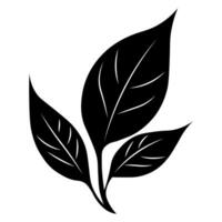 Leaf black vector icon isolated on white background