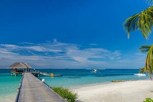 Summer vacation on a tropical island hotel resort with beautiful beach and palm trees, pier jetty path paradise landscape. Idyllic tourism relaxing view. Travel holiday exotic nature destination photo