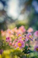 hermosa salvaje flores púrpura salvaje floral jardín en Mañana calina en naturaleza de cerca macro. paisaje amplio formato, paisaje bandera como artístico imagen. relajante, romántico floreciente flores, amor romance foto