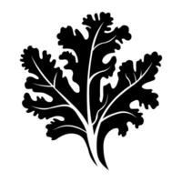 Kale black vector icon isolated on white background