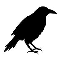 Raven black vector icon isolated on white background