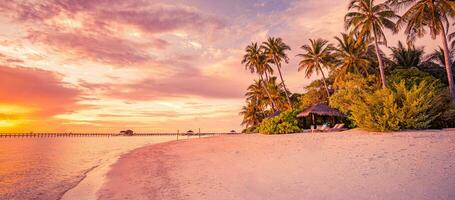 Island palm tree sea sand beach. Panoramic beach landscape. Inspire tropical beach seascape horizon. Orange and golden sunset sky calmness tranquil relaxing summer mood. Vacation travel holiday banner photo