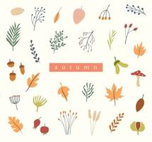 Set of autumn herbarium. Different branches and twigs with berries and leaves. Card with Wild forest plants. Vector collection of botanical design elements. Colored flat illustration.