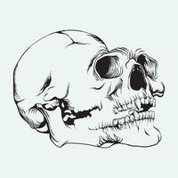 hand drawn skull art vector illustration line art of skull of human