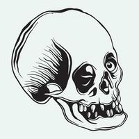 hand drawn skull art vector illustration line art of skull of human