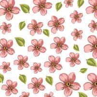 beautiful pink flowers wallpapers and backgrounds vector