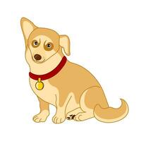 Cartoon cute dog in a red collar vector