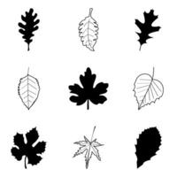 Leaf icons set isolated on white background vector