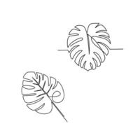 Monstera leaves drawn in line art style vector