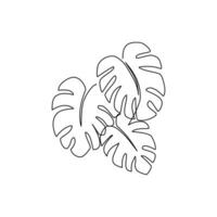 Monstera leaves drawn in line art style vector