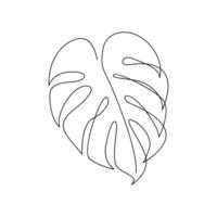 Monstera continuous Line illustration vector