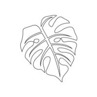 Monstera continuous Line illustration vector