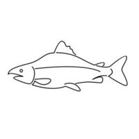 Salmon Fish outline illustration vector