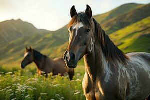 AI generated Grazing horses on hillside at sunrise, sunrise and sunset wallpaper photo