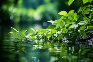 AI generated Calm waters mirror the beauty of green foliage, earth friendly images photo