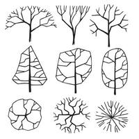 set of trees, hand drawing, top view and frontal view. architectural ink drawing, vector. vector