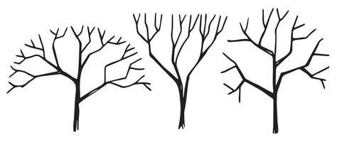 set of trees, hand drawing, frontal view. architectural ink drawing, vector. vector