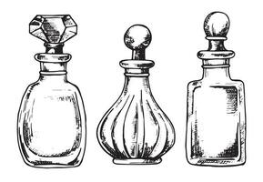set of bottles with perfume, vector drawing in sketch style. vintage bottles
