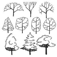 set of trees, hand drawing, frontal view. architectural ink drawing, vector. vector