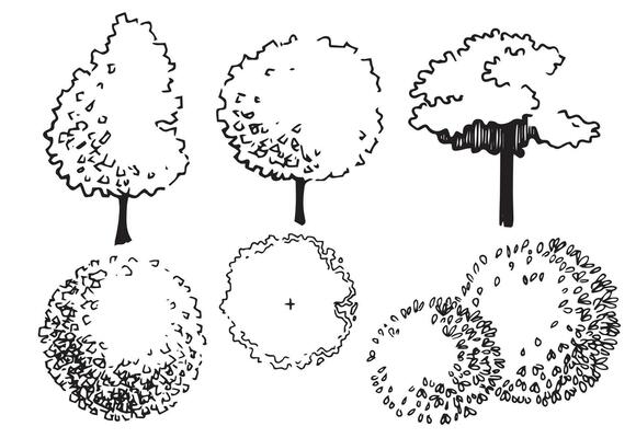 set of trees, hand drawing, top view and frontal view. architectural ink drawing, vector.