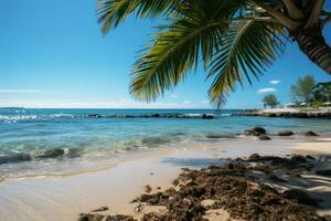 ai generado soleado verano playa enmarcado por majestuoso palmera, relajante verano escena foto