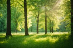 AI generated Defocused green trees in forest or park with wild grass and sun beams. Beautiful summer spring natural background photo