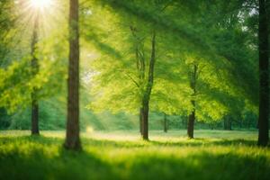 AI generated Defocused green trees in forest or park with wild grass and sun beams. Beautiful summer spring natural background photo