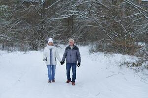 Happy senior couple at snowy winter park photo