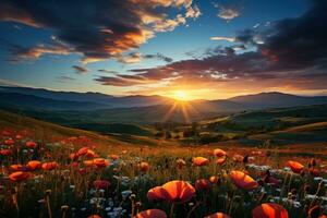 AI generated Sunlit meadow featuring poppies and sunflowers at sunset, beautiful summer photo