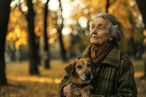 ai generado mayor mujer sostiene perro en parque, animal fotografía fotos