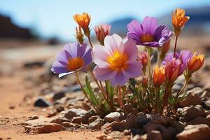 ai generado hora lapso capturas Desierto flores floreciente después lluvia, ambiental concepto foto