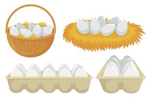 Eggs in nest and basket. Tray of chickens eggs. Open cardboard paper package with organic and natural products vector