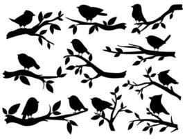 Bird and twig silhouettes. Cute birds and on branch, romantic spring image, black sparrows on tree, garden decor retro art, vector set