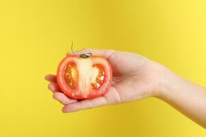 Hand with Fruit photo