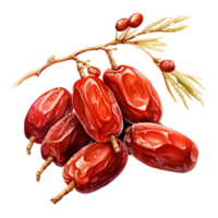 AI generated Date palm Dried fruit Dates Jujube png