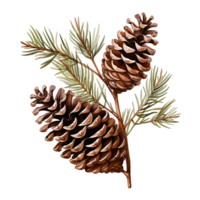 AI generated Tree Branch Pine Cone png