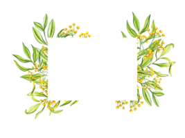 Horizontal frame with green leaves and yellow flowers. Wild spring herbs. Copy space for text. Watercolor illustration. For greeting, invitation png