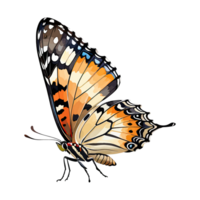waterverf clip art geschilderd dame vlinder illustratie transparant achtergrond png